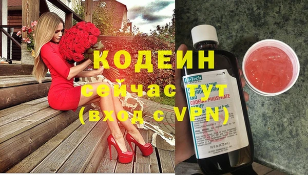 крисы Армянск