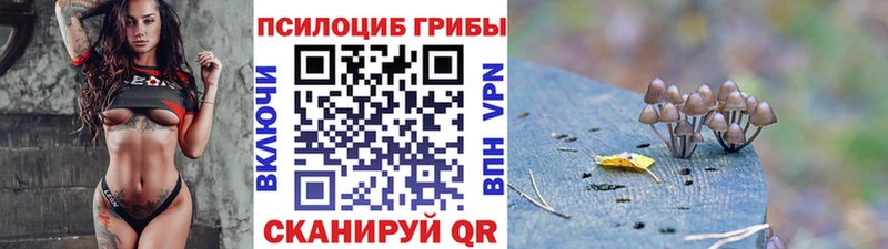Галлюциногенные грибы Cubensis  где продают наркотики  Дно 